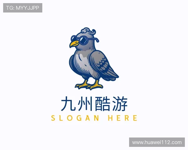 关于九州酷游